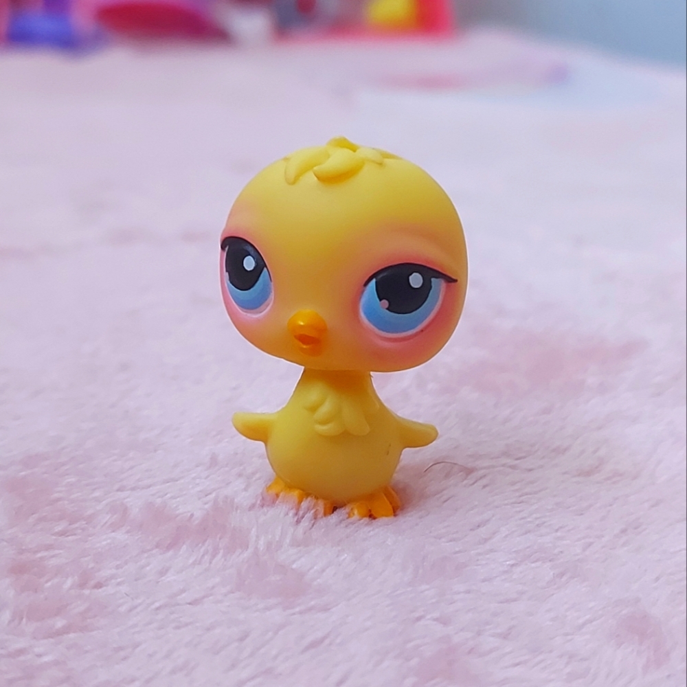 Chick littlest pet shop